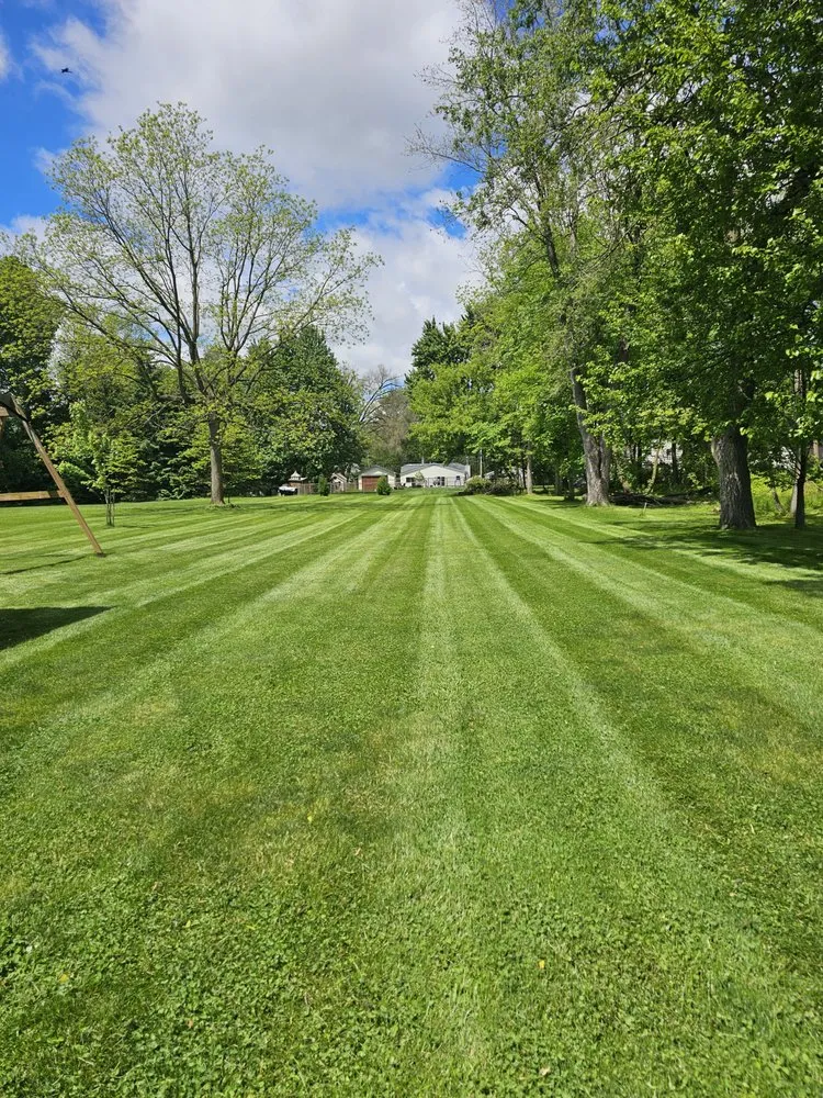 Professional yard cleanup service in Taylor, MI by Veterans Property Solutions