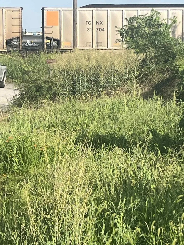 Top-rated outdoor landscaping in Temple, TX by VeteransCorp Lawn Care and More