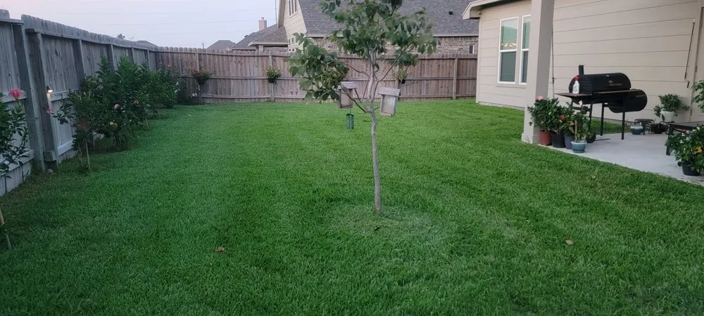 Top-rated yard maintenance in Corpus Christi, TX - Veterlawn