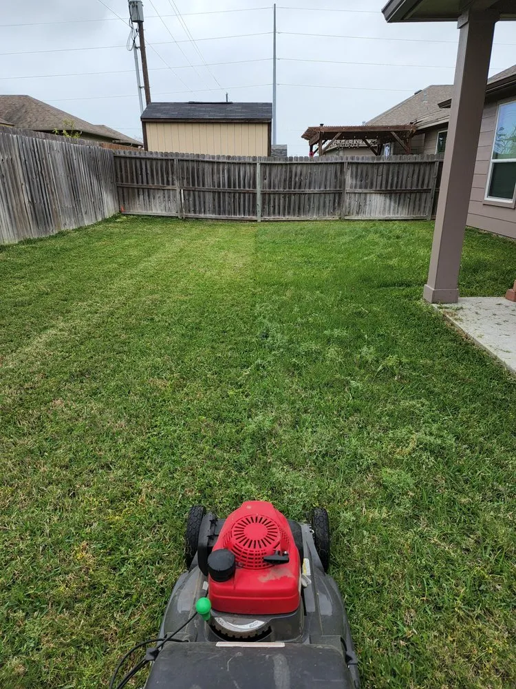 Professional residential landscaping in Corpus Christi, TX by Veterlawn