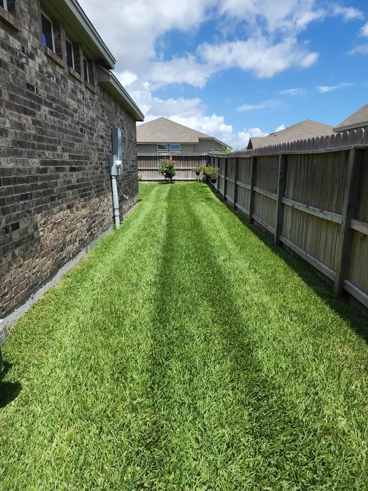 Trusted residential landscaping near you in Corpus Christi, TX by Veterlawn