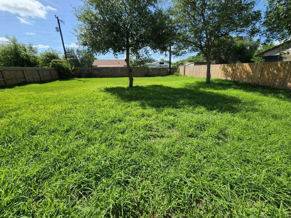 Affordable garden landscaping for residential properties in Corpus Christi, TX by Veterlawn