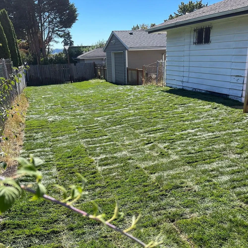 Affordable landscaping services for homes across Kent, WA - Veth’s Landscape Services