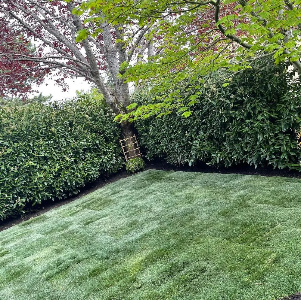 Reliable landscape installation with custom design across Kent, WA - Veth’s Landscape Services