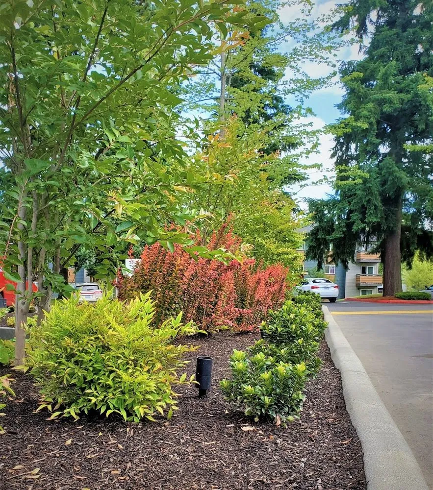 Reliable residential landscaping in Kent, WA - Veth’s Landscape Services