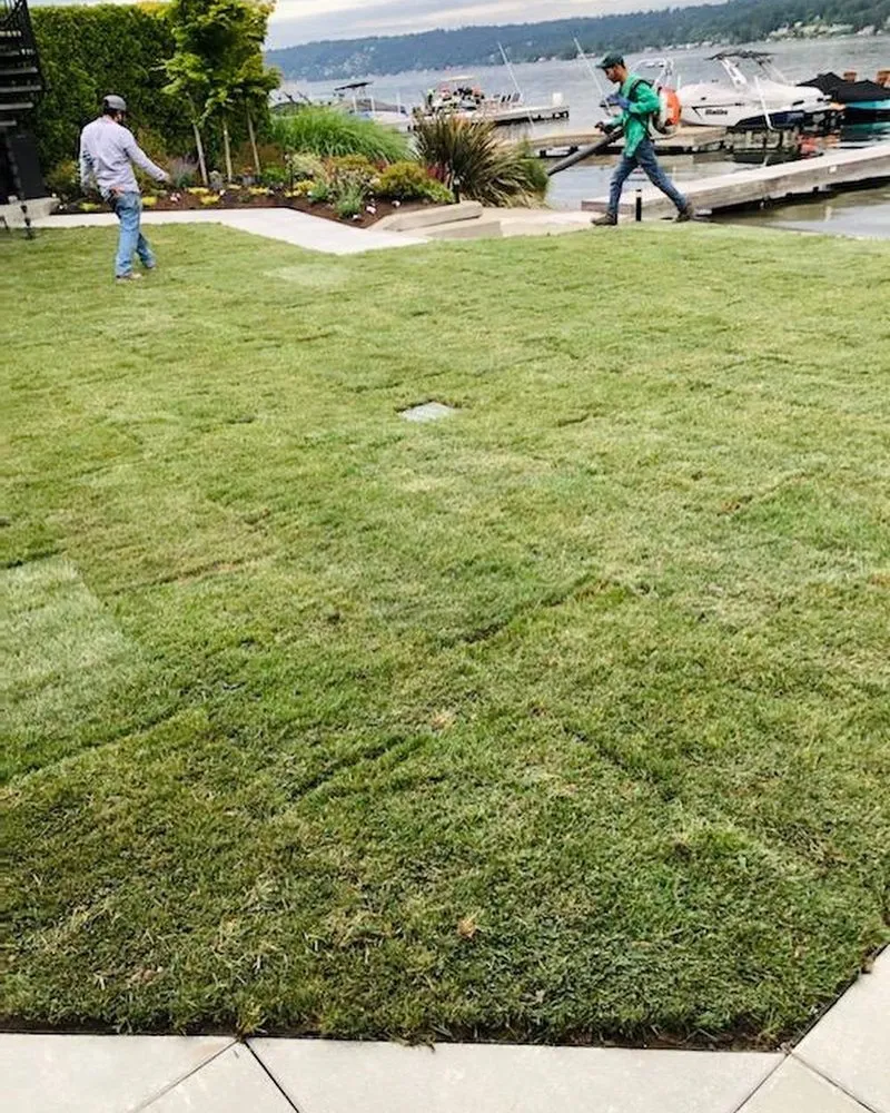 Local yard maintenance in Kent, WA - Veth’s Landscape Services