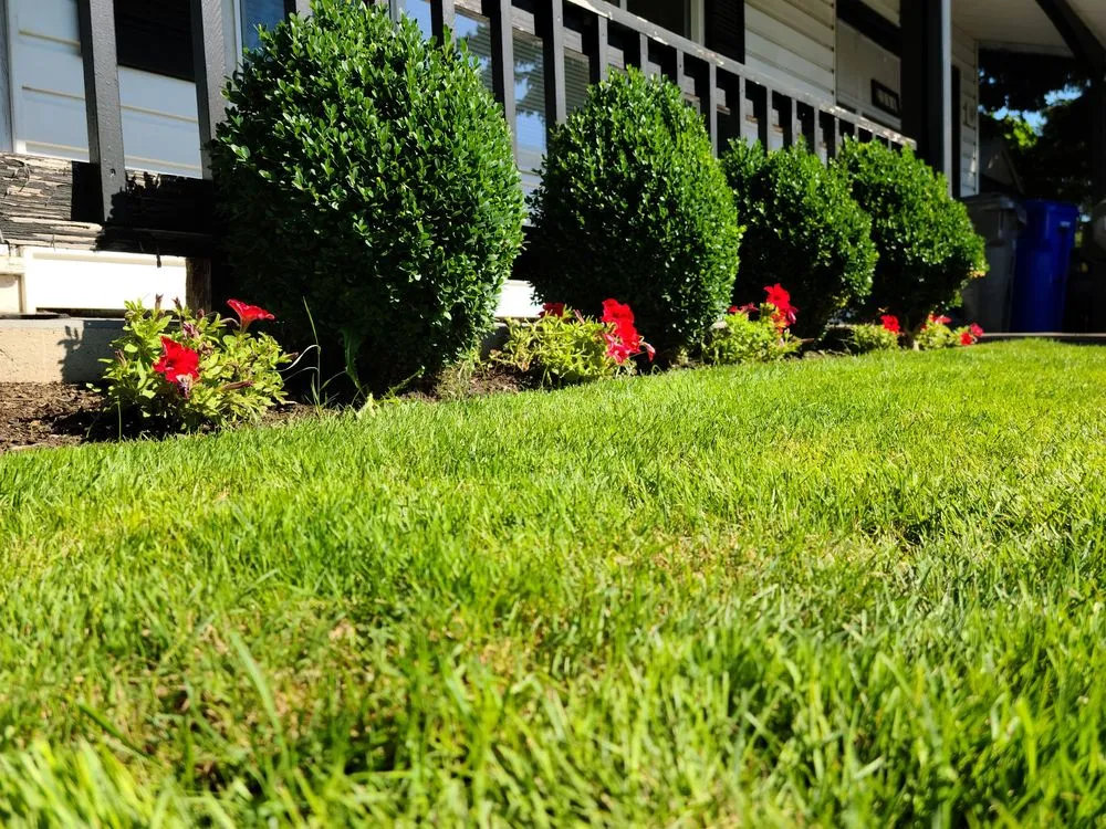 Expert outdoor landscaping in Portland, OR by Vetlawn Property Care