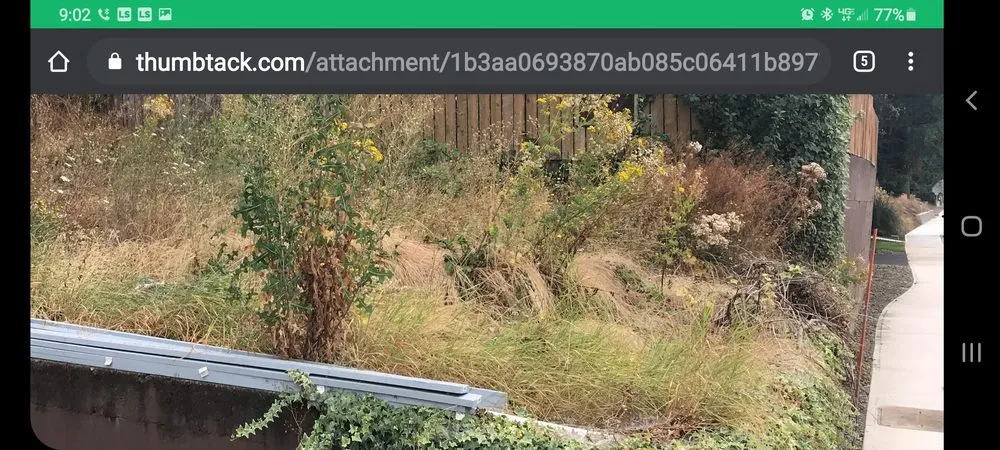 Top-rated lawn care service experts serving Portland, OR - Vetlawn Property Care