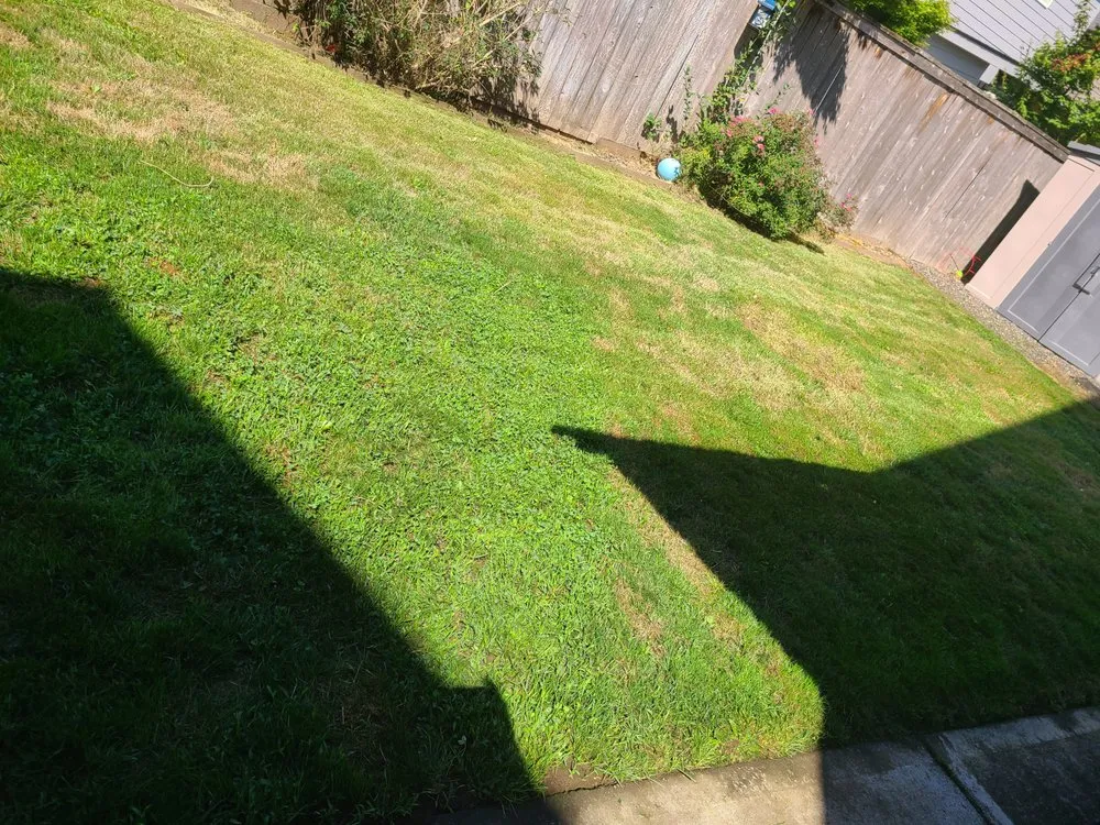 Top-rated outdoor landscaping in Portland, OR - Vetlawn Property Care