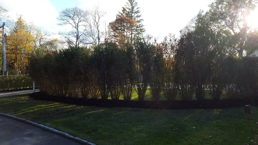 Trusted landscape installation in Barnstable, MA by Vetorino's Landscape & Irrigation
