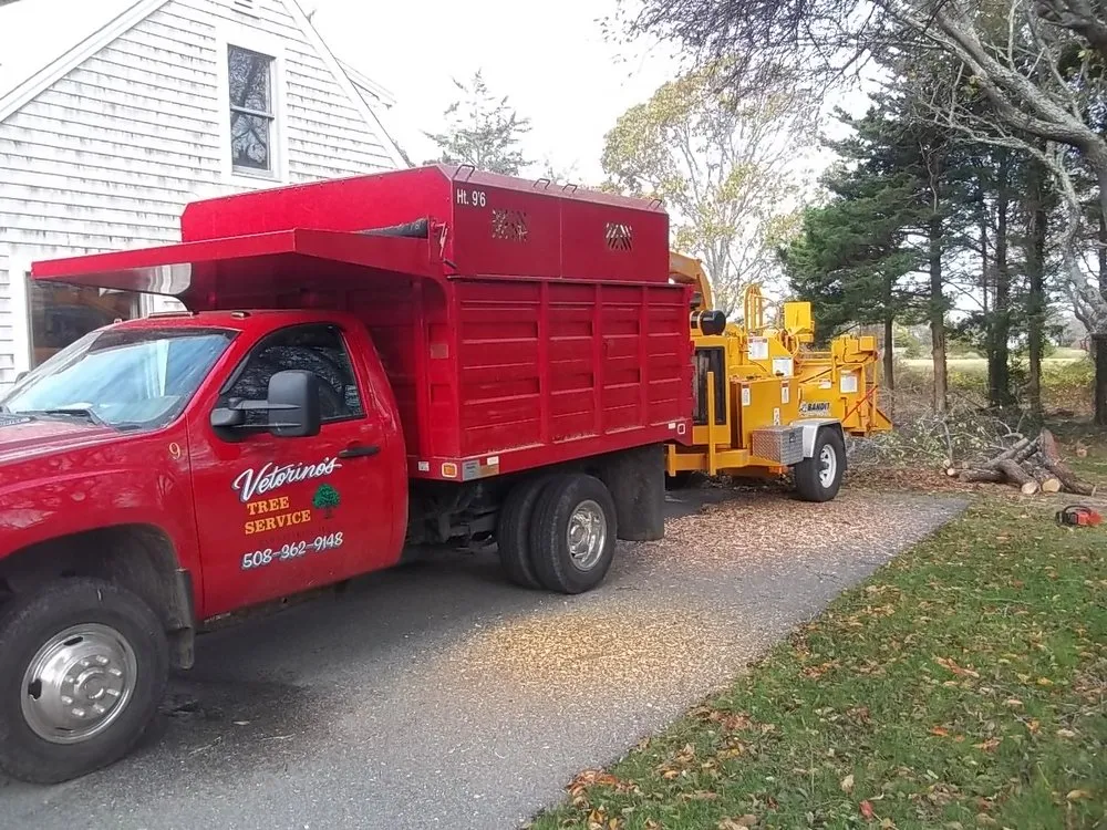 Affordable yard maintenance in Barnstable, MA - Vetorino's Landscape & Irrigation