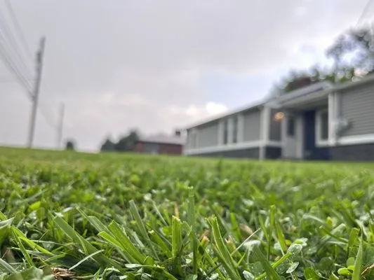 Vets Outdoor Services