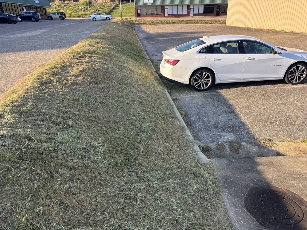 Expert landscape design in Brantley, AL - Vetworx Lawn Service