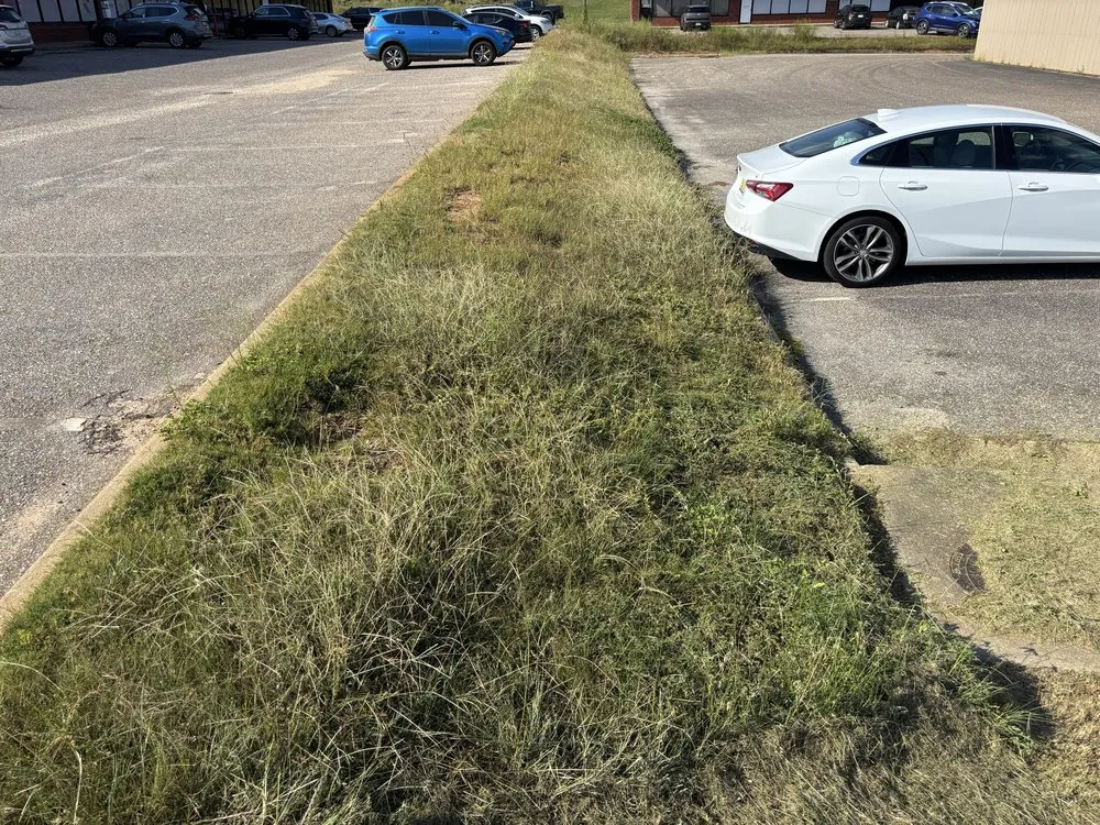 Top-rated landscaping services experts serving Brantley, AL - Vetworx Lawn Service
