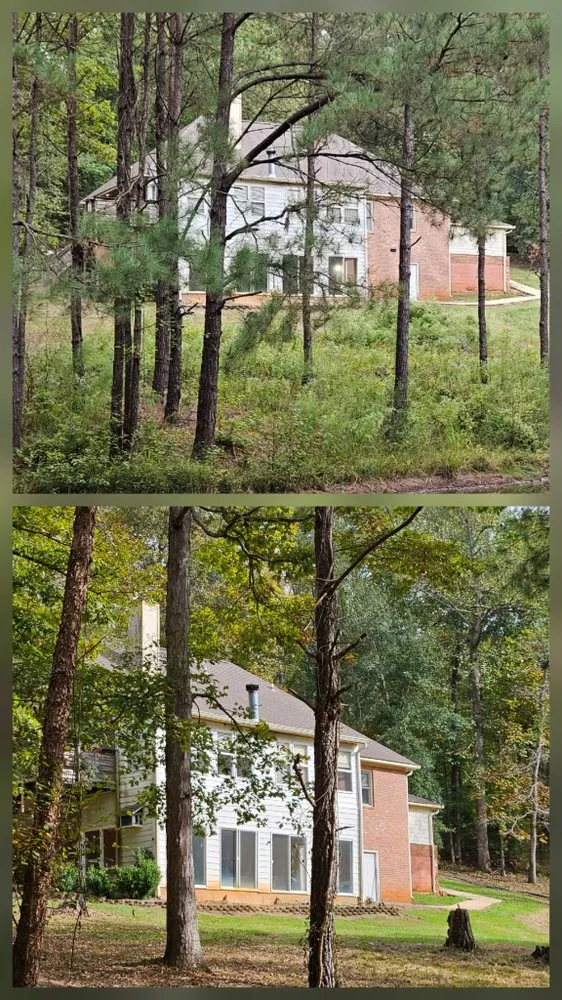 Trusted lawn mowing service experts serving Brantley, AL - Vetworx Lawn Service