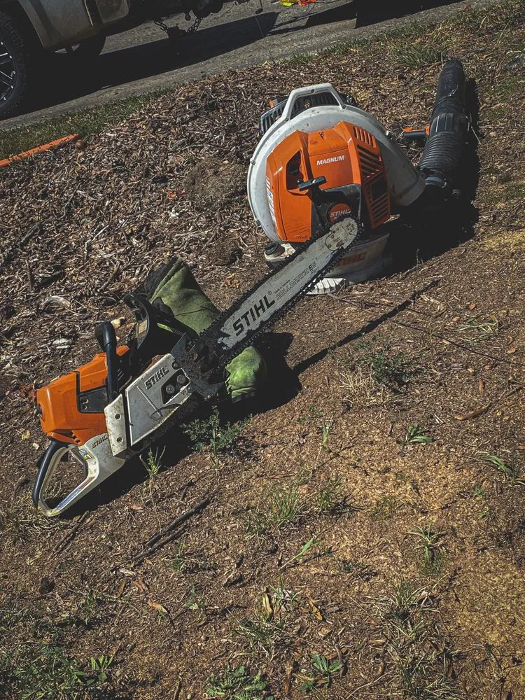 Professional garden landscaping in Lexington, NC by Vexi Property Maintenance