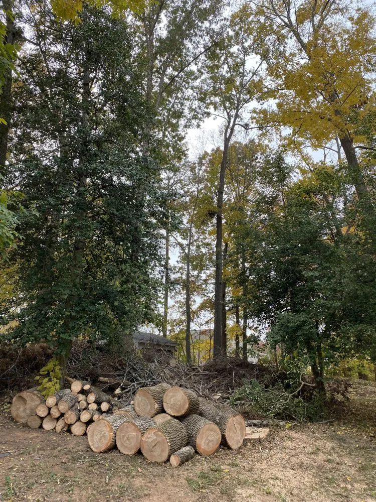 Trusted garden landscaping for outdoor upgrades across Lexington, NC - Vexi Property Maintenance