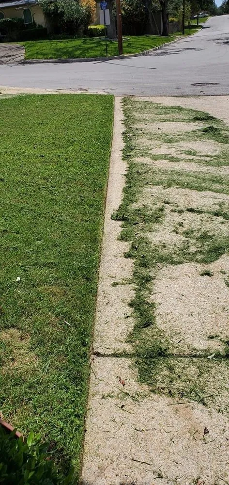 Affordable landscaping services for homes in Irving, TX by Veza Lawn Care