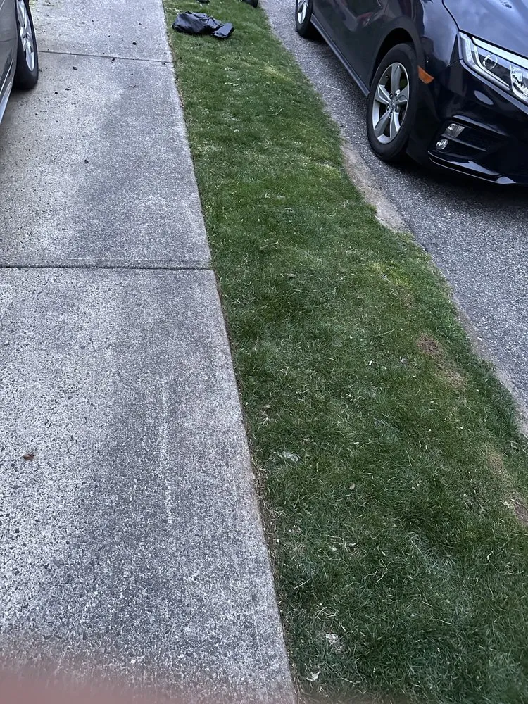 Custom landscape design for residential properties across Lodi, NJ - VF Landscape Design