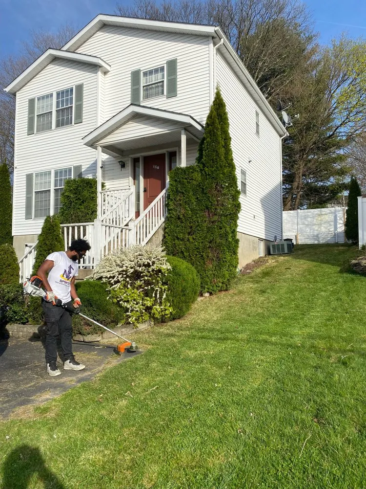 Affordable yard maintenance in Lodi, NJ by VF Landscape Design