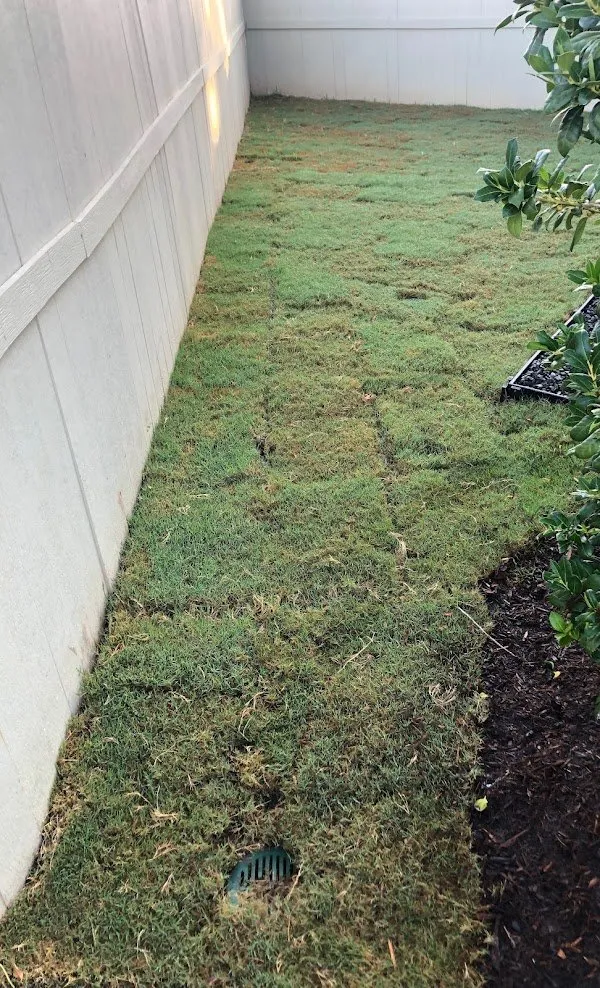 Professional residential landscaping near you across Conroe, TX - VFG Landscaping Service