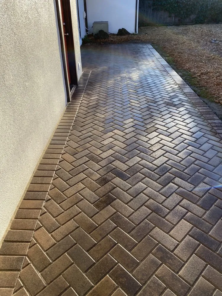 Custom lawn care service for year-round maintenance in San Jose, CA by VG concrete