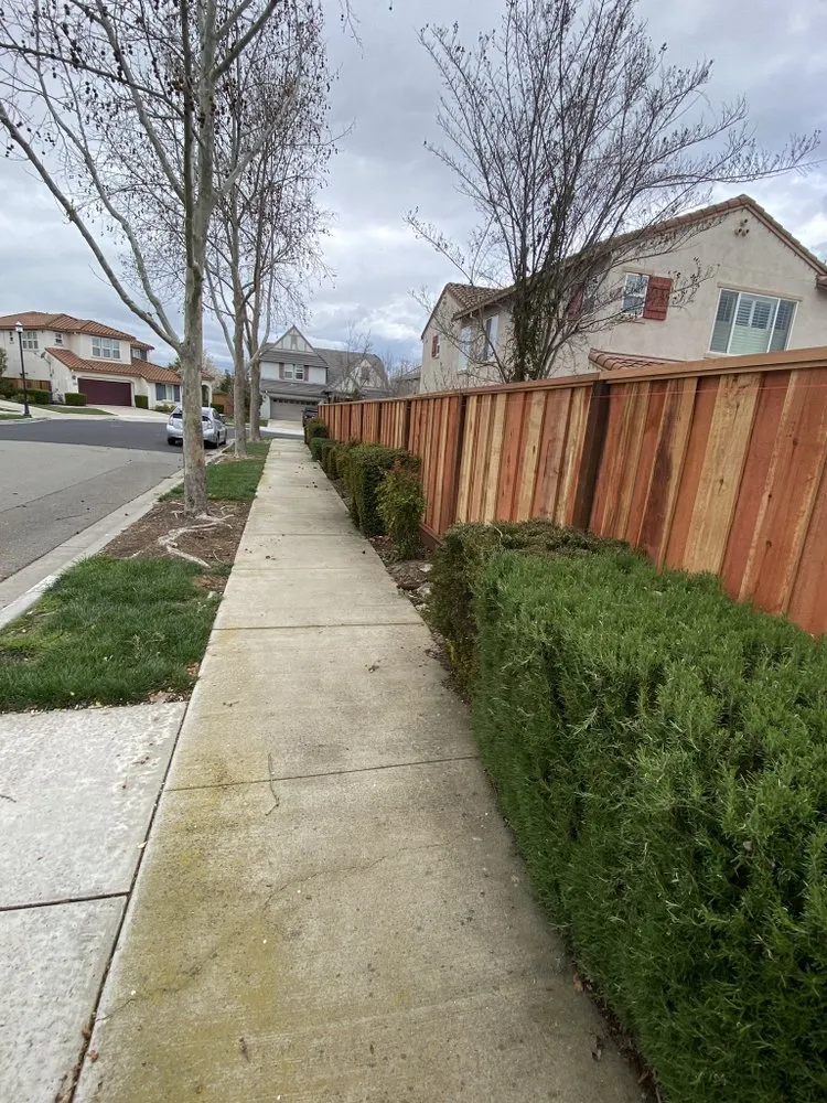 Custom lawn mowing service in San Jose, CA by VG concrete