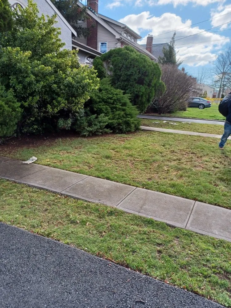 Trusted yard maintenance experts serving Hackensack, NJ - V&G Landscaping