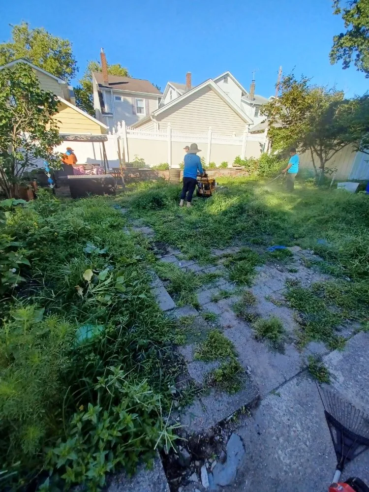 Top-rated lawn care service experts serving Hackensack, NJ - V&G Landscaping