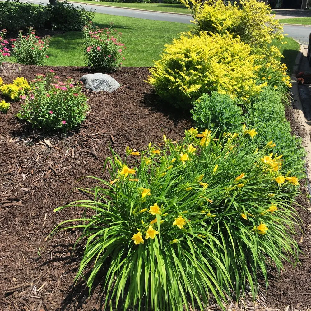 Custom yard maintenance in Minneapolis, MN by VG Lawn Care