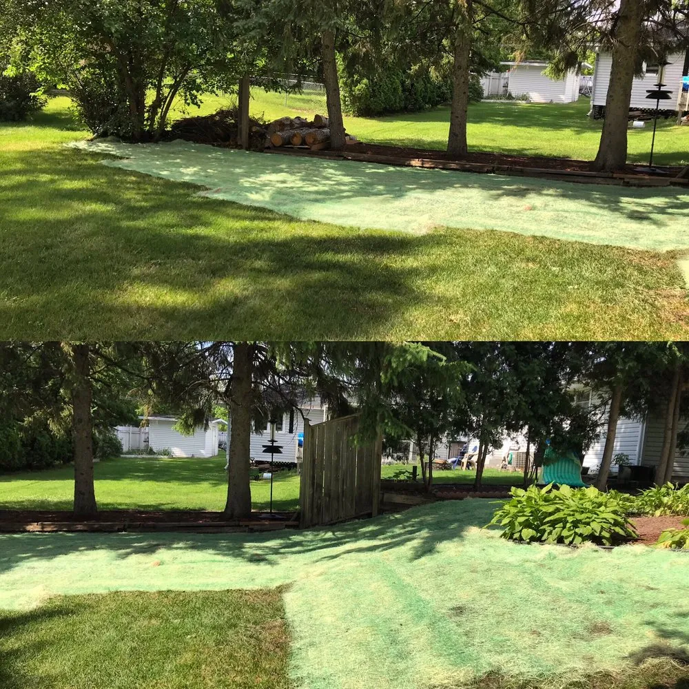 Trusted yard maintenance for outdoor upgrades across Minneapolis, MN - VG Lawn Care