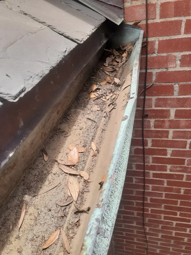 Top-rated lawn mowing service in Corpus Christi, TX - VG Omar Handyman