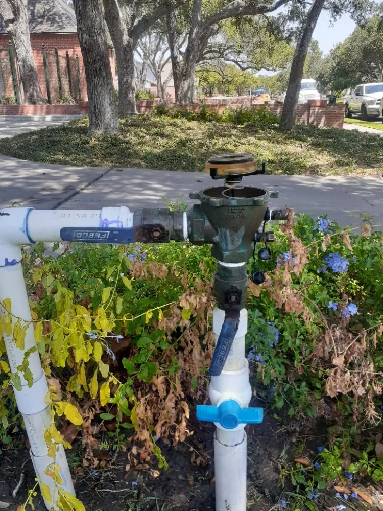 Professional outdoor landscaping with custom design across Corpus Christi, TX - VG Omar Handyman