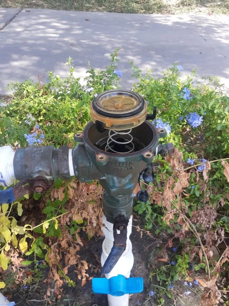 Top-rated landscape installation experts serving Corpus Christi, TX - VG Omar Handyman