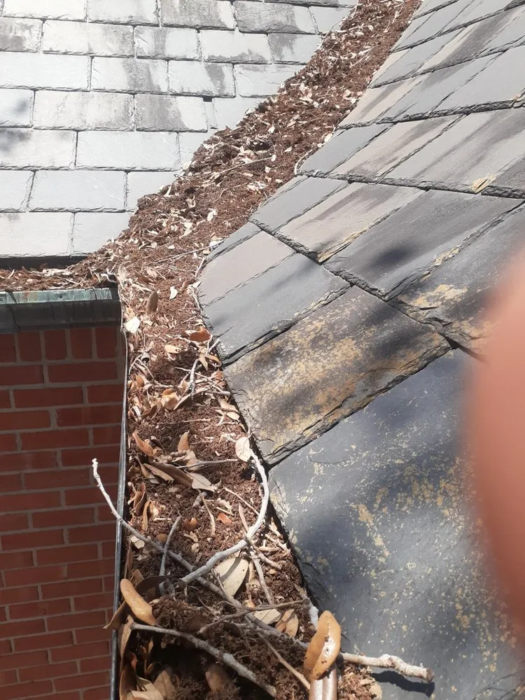 Trusted garden landscaping in Corpus Christi, TX by VG Omar Handyman