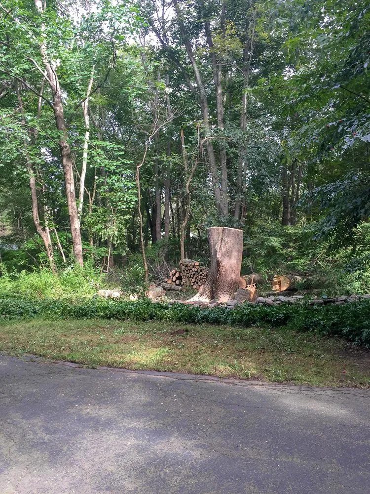 Top-rated lawn mowing service in Danbury, CT - V&G Outdoor Solutions