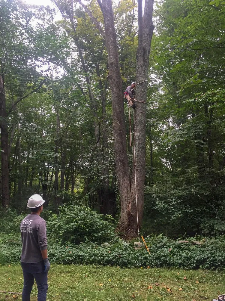 Reliable landscape installation in Danbury, CT by V&G Outdoor Solutions