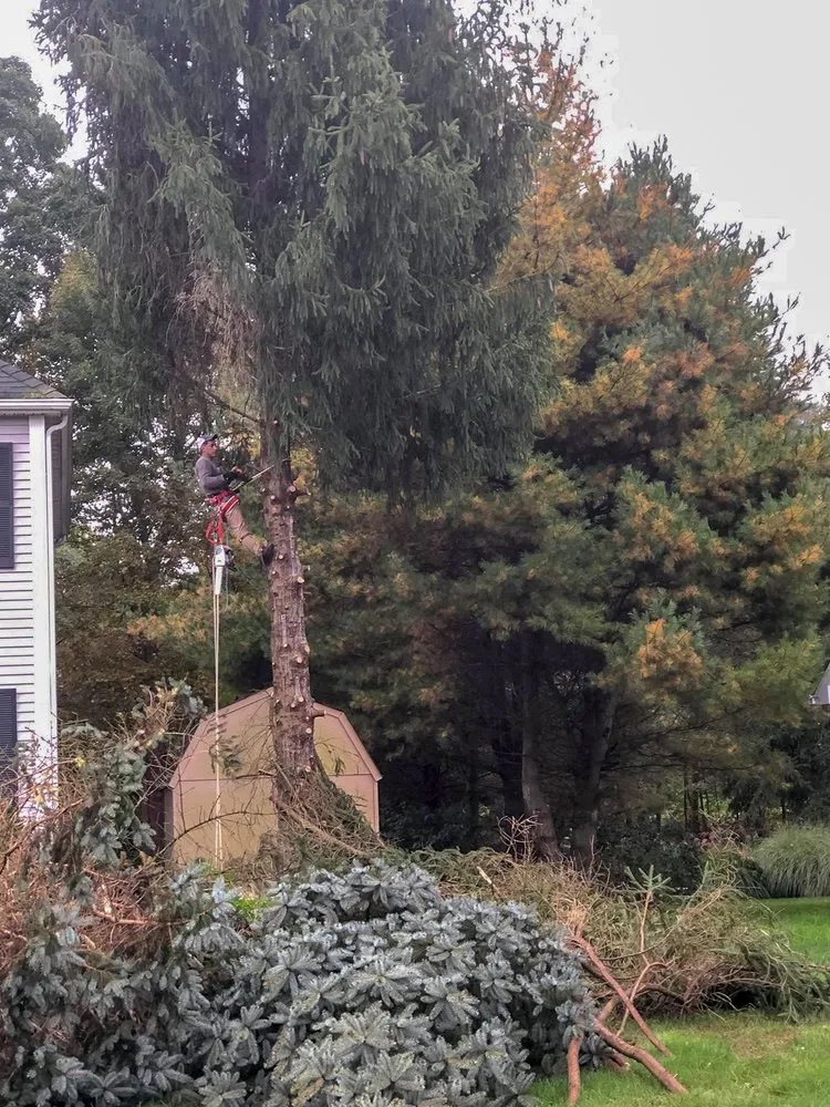 Reliable yard maintenance for year-round maintenance across Danbury, CT - V&G Outdoor Solutions