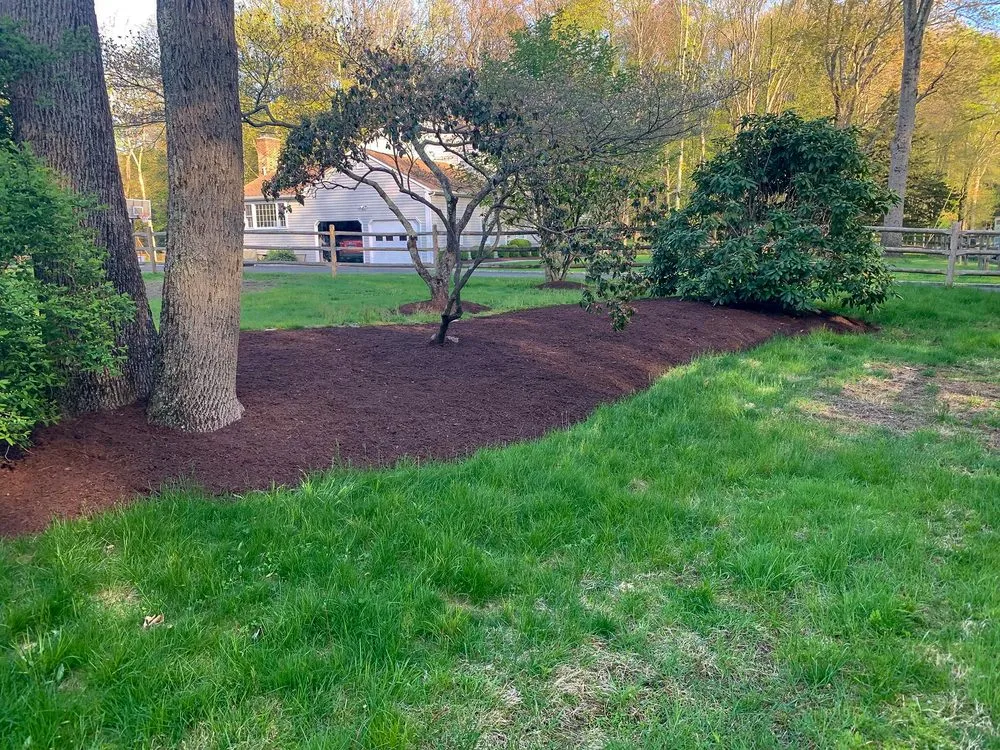 Top-rated yard maintenance experts serving Danbury, CT - V&G Outdoor Solutions