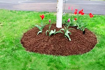 Affordable landscape design in Danbury, CT - V&G Outdoor Solutions