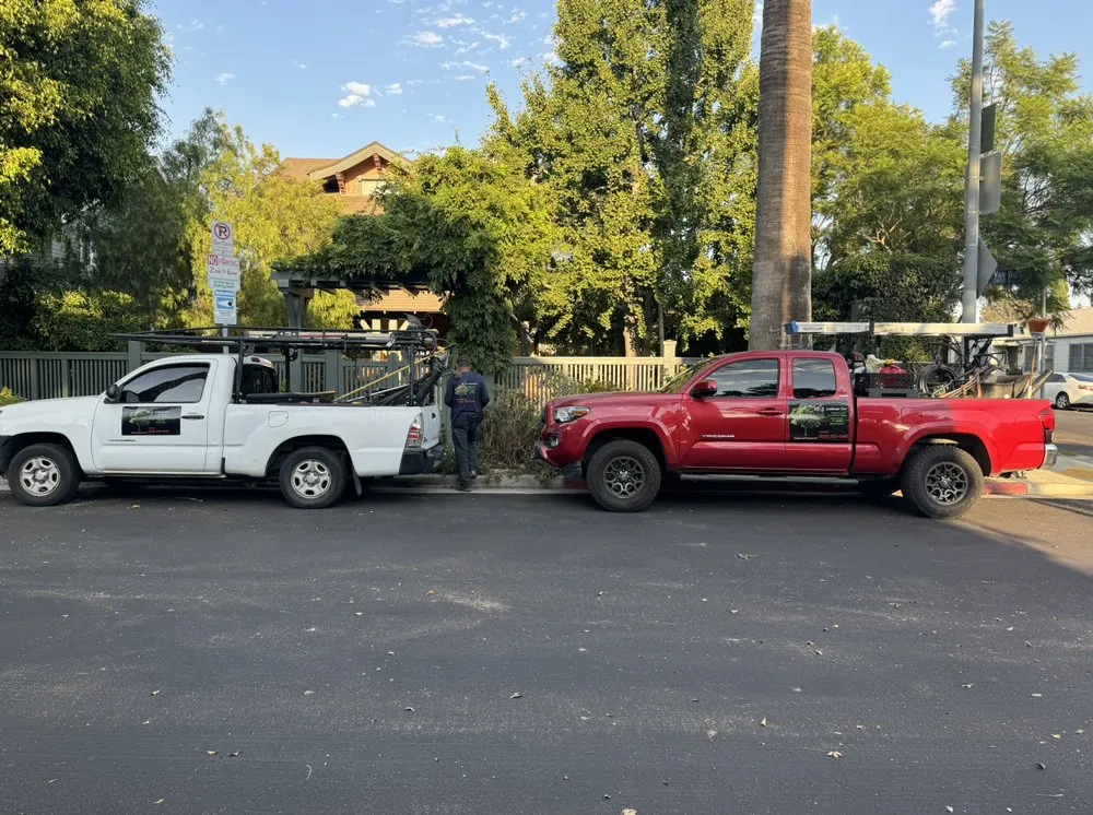 Custom landscape design for beautiful yards in Inglewood, CA by VG’s Landscape Care