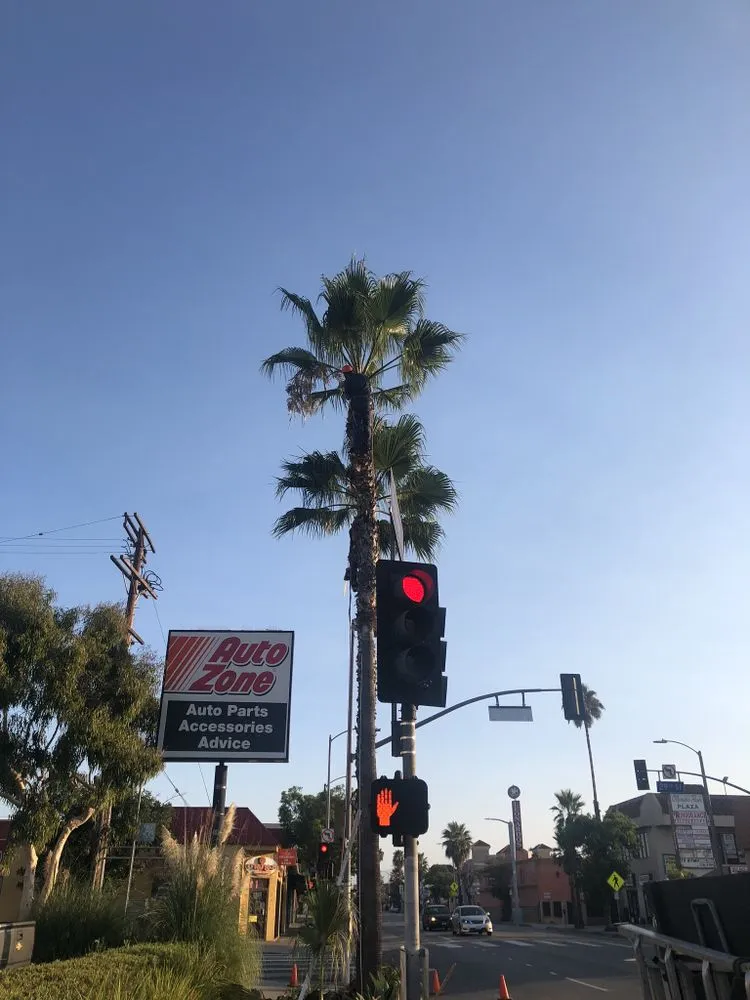 Expert residential landscaping for residential properties across Inglewood, CA - VG’s Landscape Care