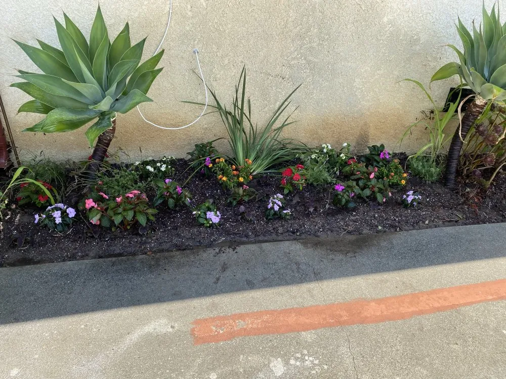 Professional landscape design experts serving Inglewood, CA - VG’s Landscape Care