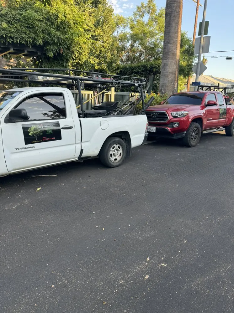 Affordable landscape installation experts serving Inglewood, CA - VG’s Landscape Care