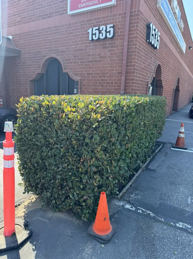 Local outdoor landscaping in Inglewood, CA by VG’s Landscape Care