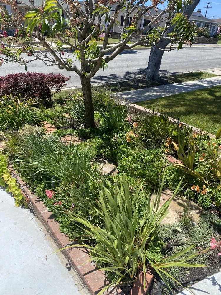 Affordable outdoor landscaping in Inglewood, CA - VG’s Landscape Care