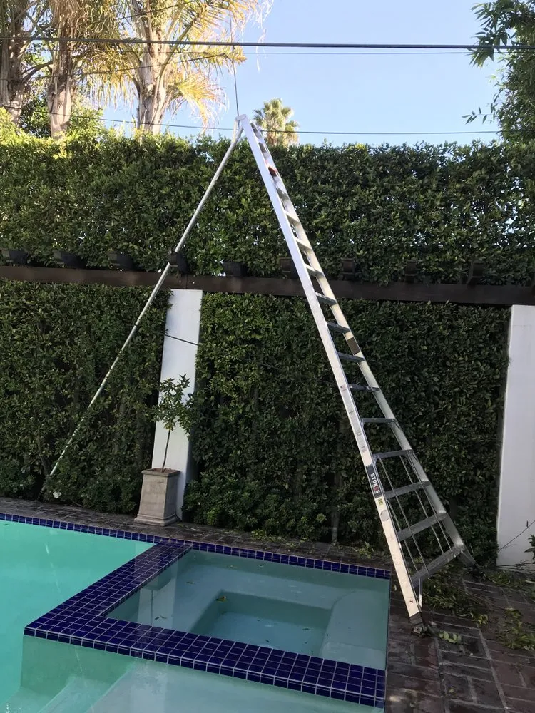 Top-rated garden landscaping in Inglewood, CA - VG’s Landscape Care