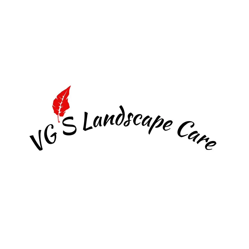 Top-rated lawn mowing service for beautiful yards across Inglewood, CA - VG’s Landscape Care