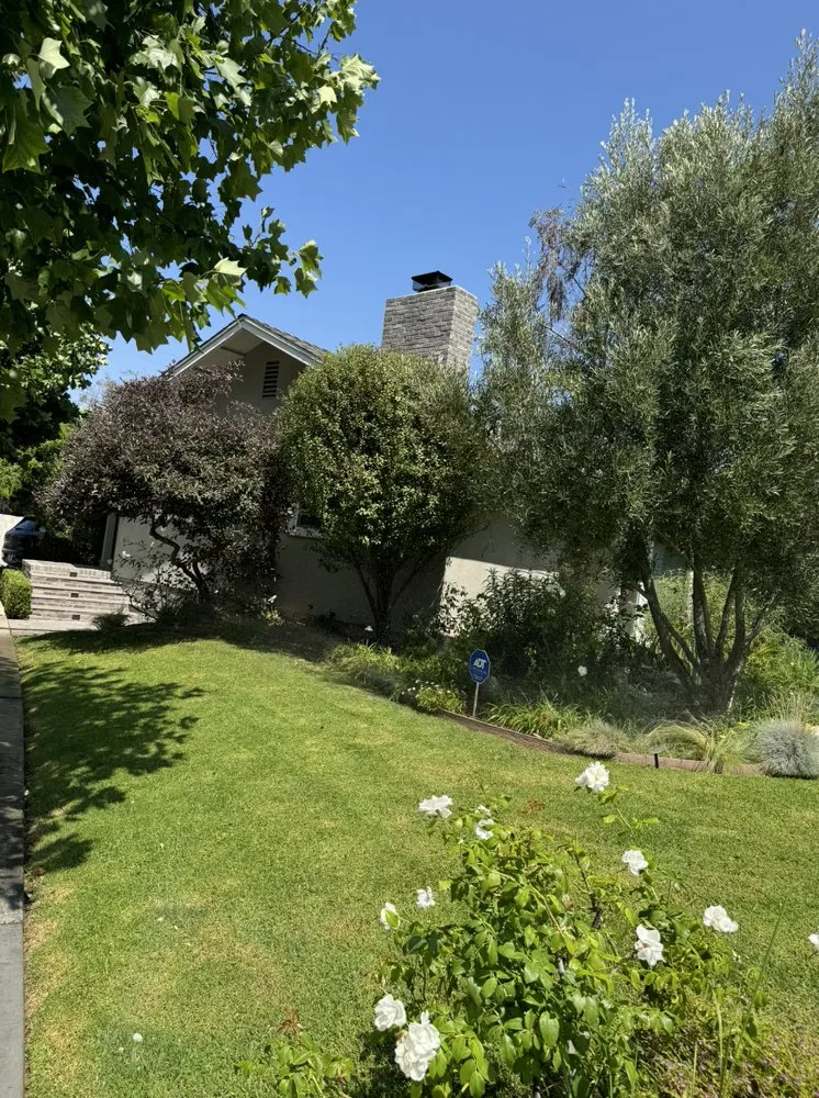 Custom landscape design in Inglewood, CA - VG’s Landscape Care