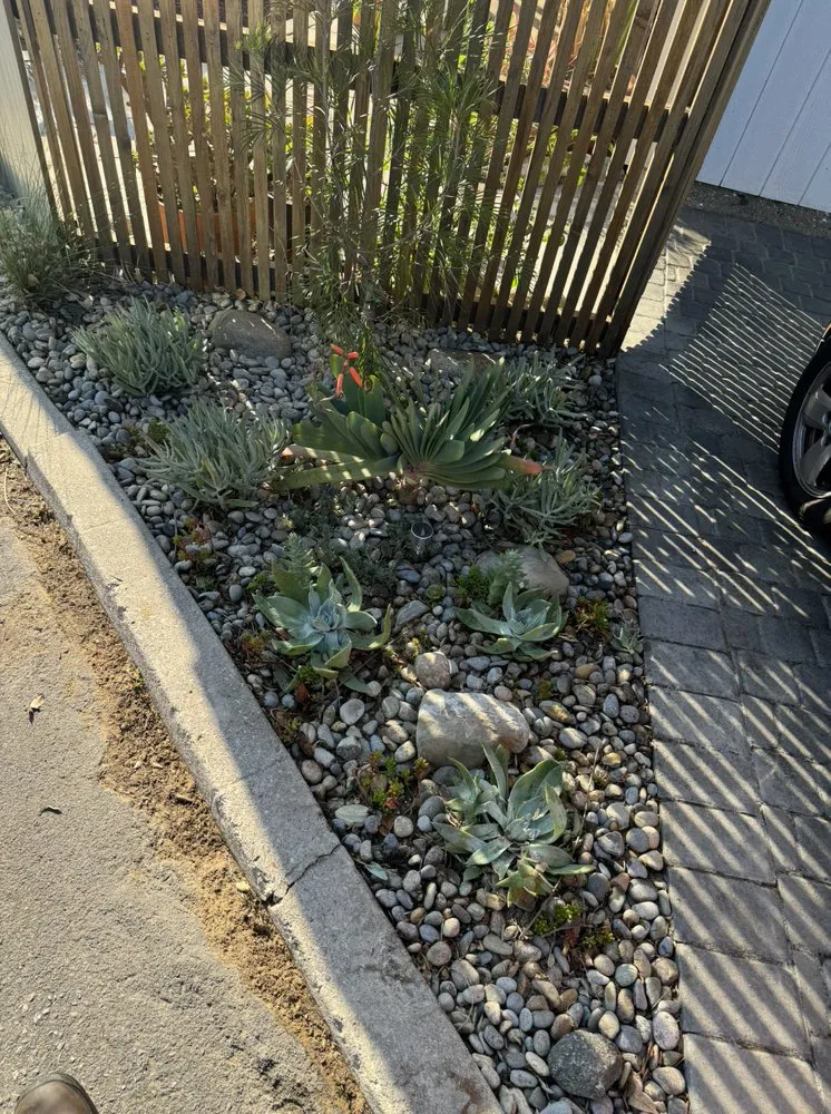 Custom lawn care service for year-round maintenance across Inglewood, CA - VG’s Landscape Care